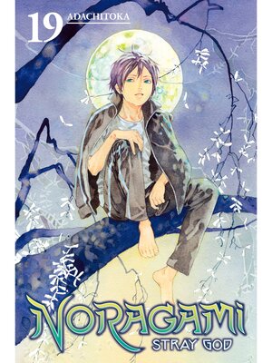 Noragami: Stray God, Volume 19 - ebook